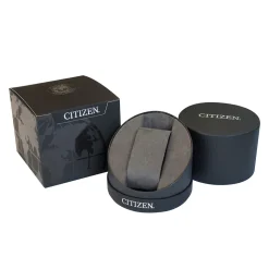 Citizen | Silver Patterned Dial Two Tone Watch | EM0506-77A