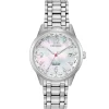 CITIZEN – World Time Perpetual Watch FC8000-55D